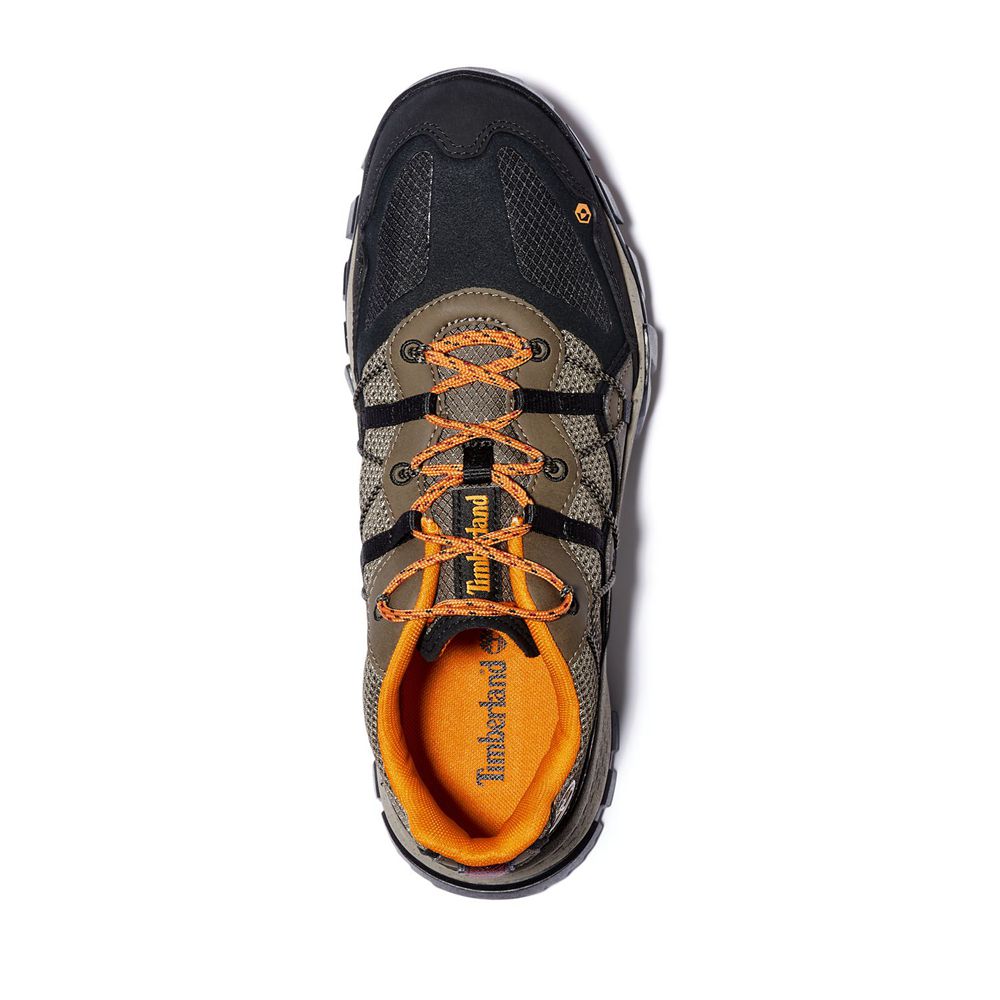 Timberland Mens Hiking Shoes Garrison Trail Low - Black/Brown - India JN5961872